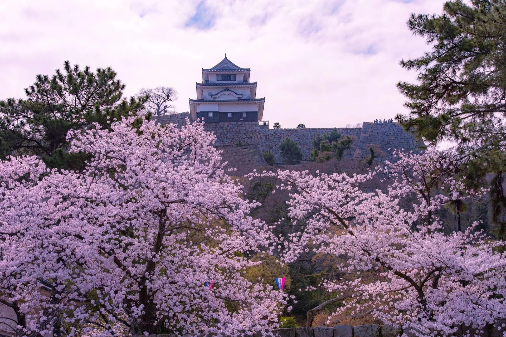 🏯 마루가메 성 이미지 9